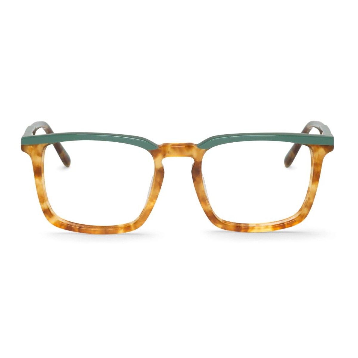 Mr Boho Belcher col ACACR53-00 Branch 