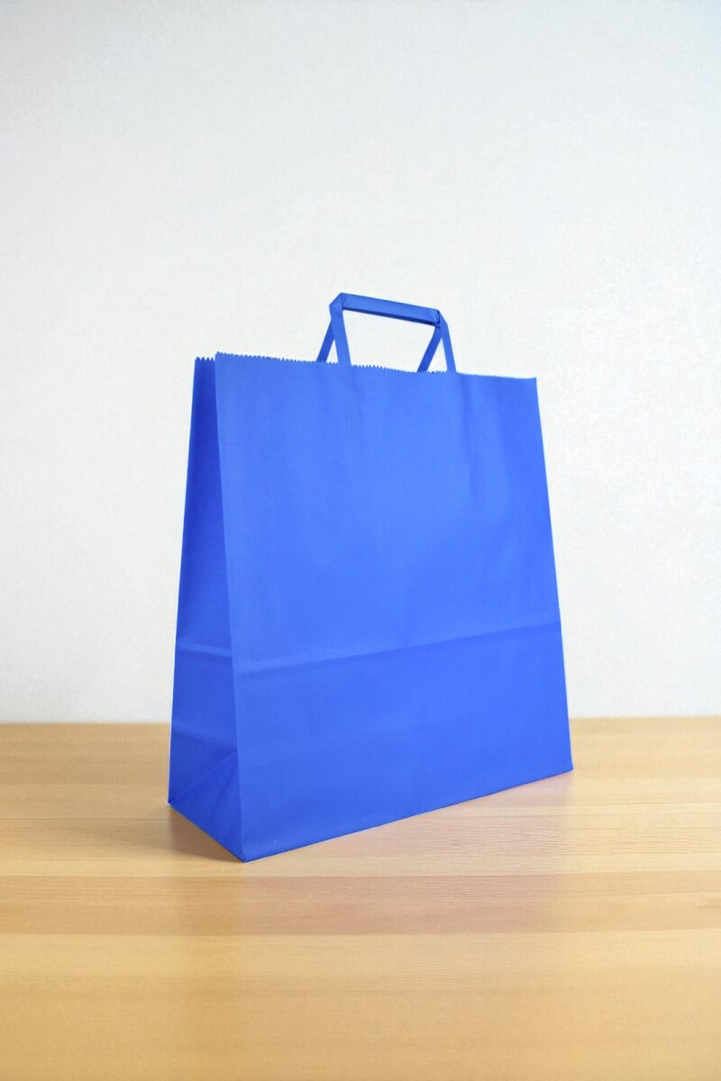 Bolsa lisa acuario 30x12x32 cm - AZUL 