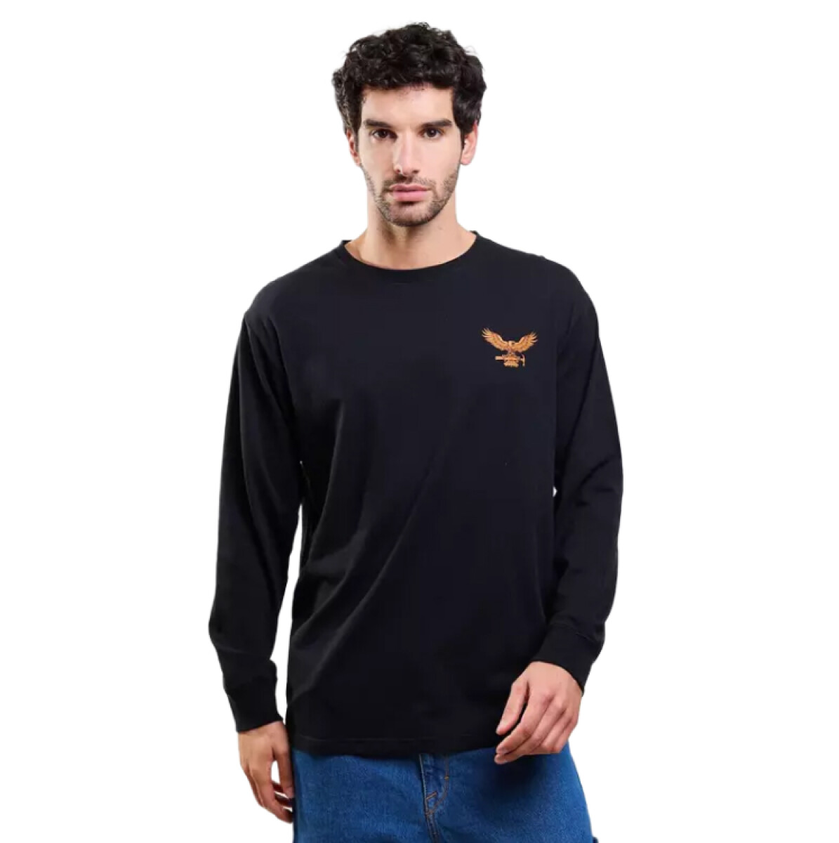 Remera Volcom ABG Organic Rawline - Negro 