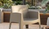 Silla Sillón de Exterior Master Marron