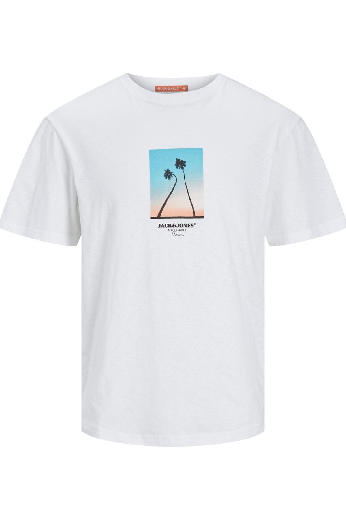 Camiseta Aruba Bright White