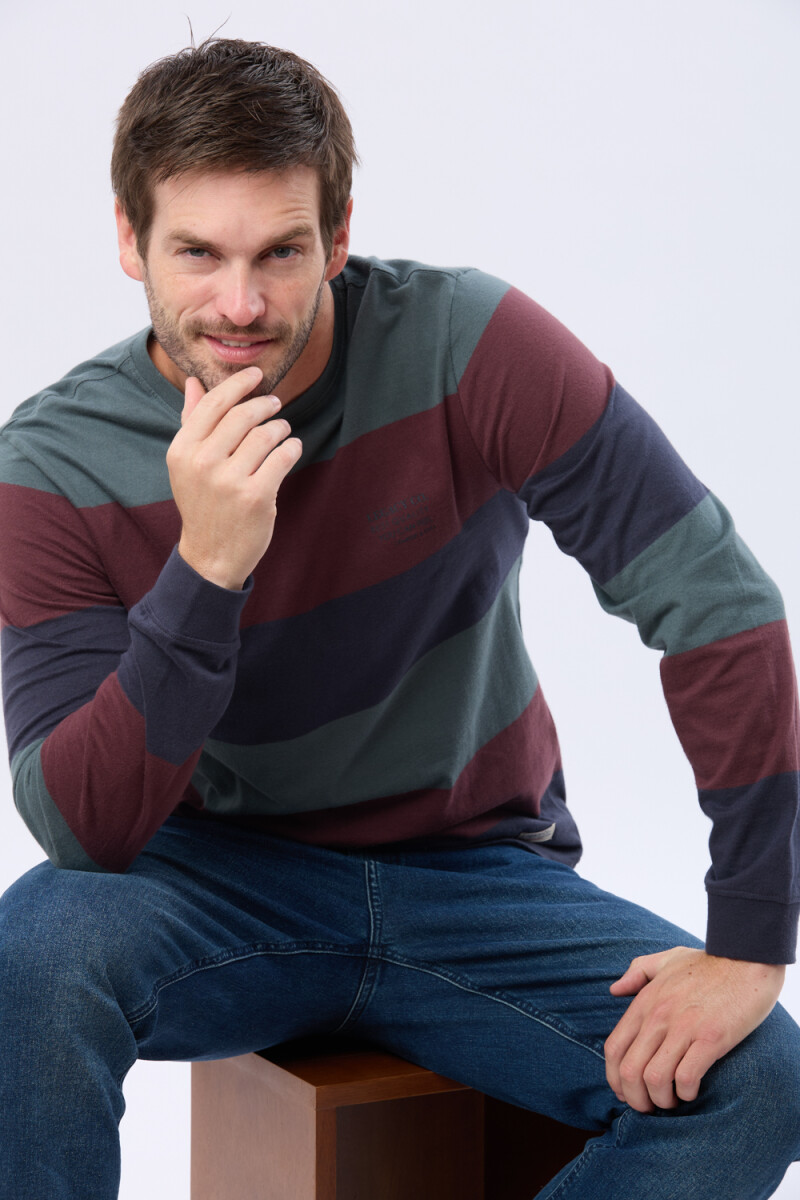 REMERA RAYADA CON ESTAMPA - Azul 