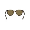 Ray Ban Rb4305 710/73