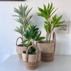 Planta artificial decorativa Planta artificial decorativa
