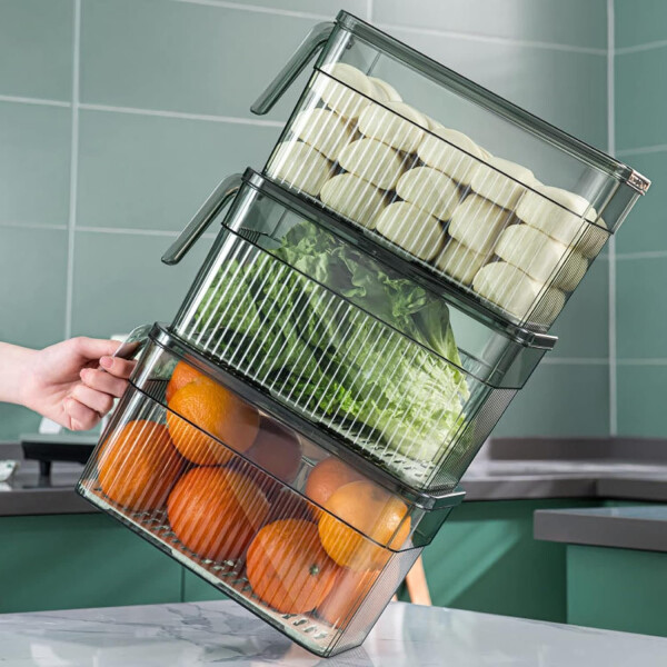 Caja Almacenamiento Alimentos 30x15x15 Registro Fecha C/ Asa Caja Almacenamiento Alimentos 30x15x15 Registro Fecha C/ Asa