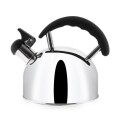 CALDERA ACERO INOXIDABLE 3 LTS - KASSEL CALDERA ACERO INOXIDABLE 3 LTS - KASSEL