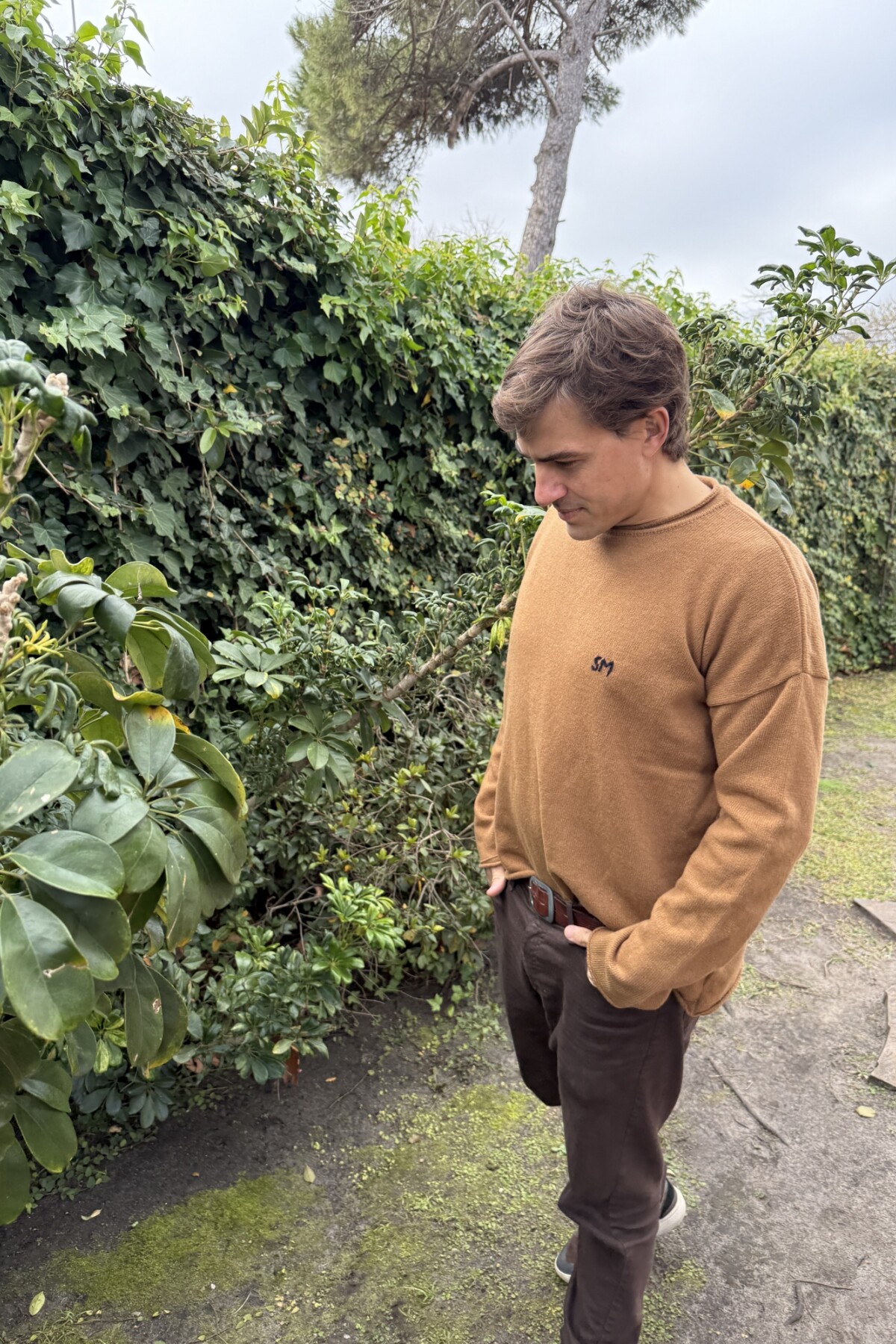 Wool Sweater Men Camel