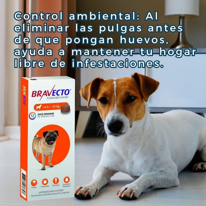 BRAVECTO ANTIPULGAS Y ANTIGARRAPATAS 4.5 A 10 KG