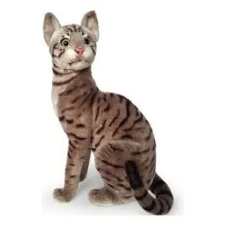 Peluche Numi Gato Sentado 30 Cm Peluche Numi Gato Sentado 30 Cm