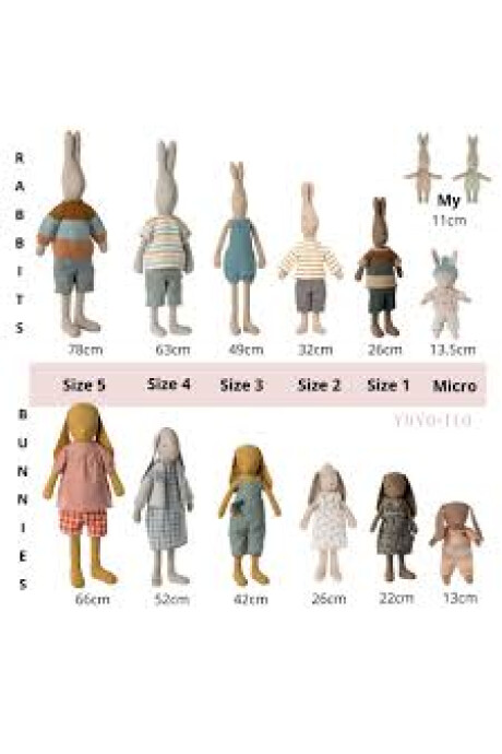 CONEJO MAILEG CONEJO MAILEG