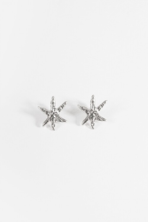 Caravanas clip estrellas plateado