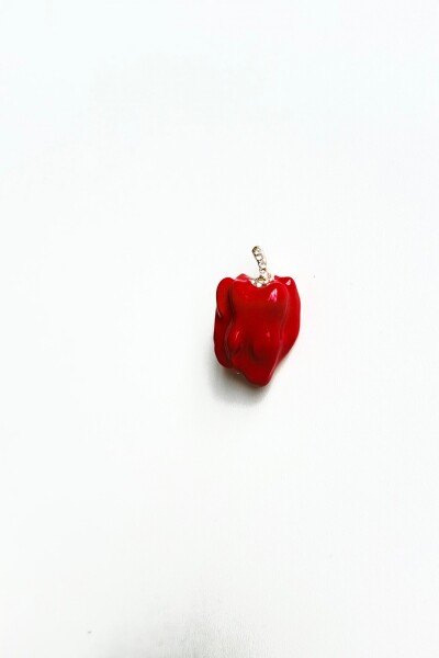PIN FRUIT Morron Rojo
