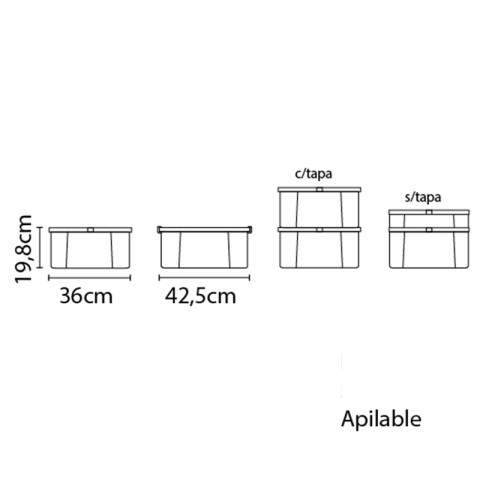 Caja organizadora en ppl transparente 17 litros TD0103