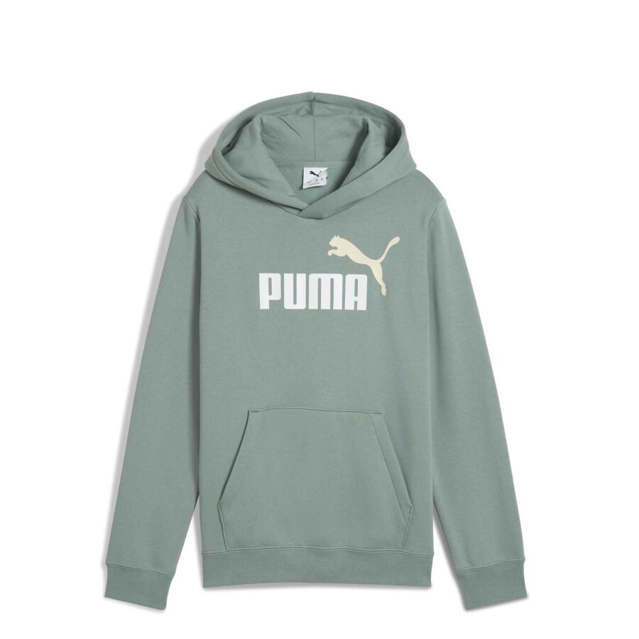 Buzos Puma Logo Hoodie Masculino Verde