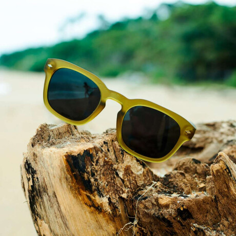 Lentes I-Sea Blair 2.0 Verde
