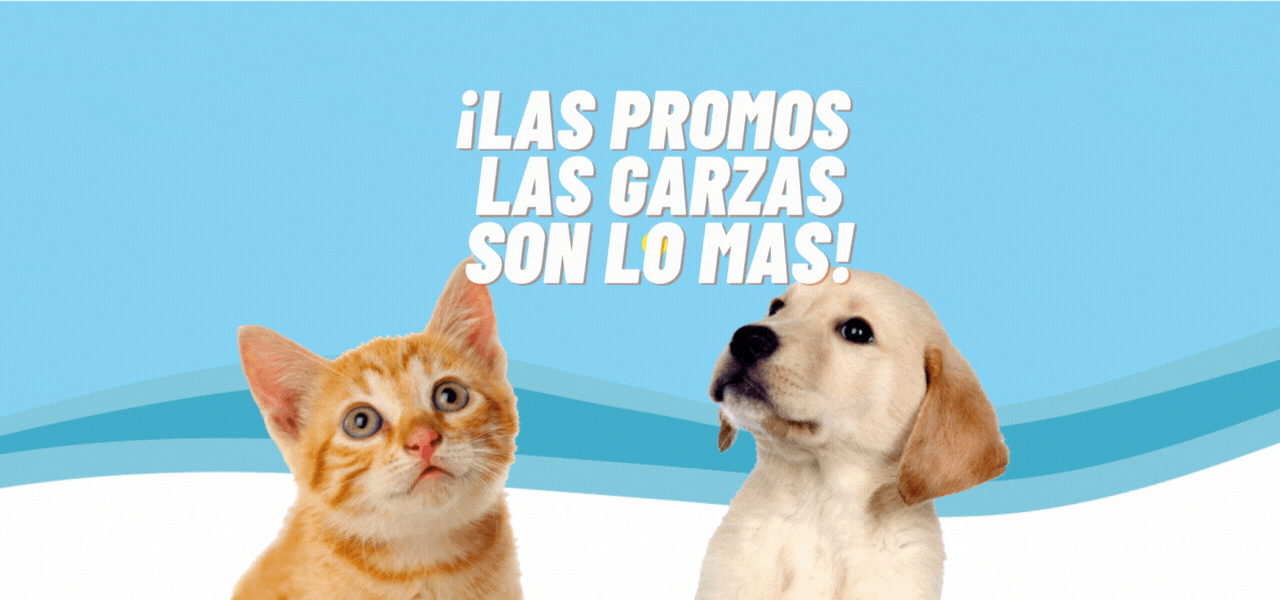 Descuentos para tu perro o gato en Veterinaria Las Garzas