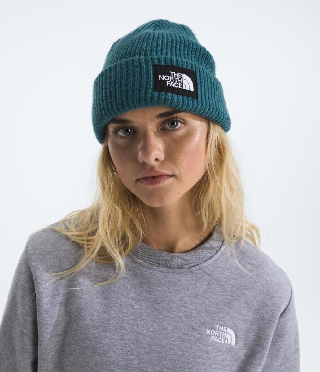 Gorro Salty lined beanie - Space 