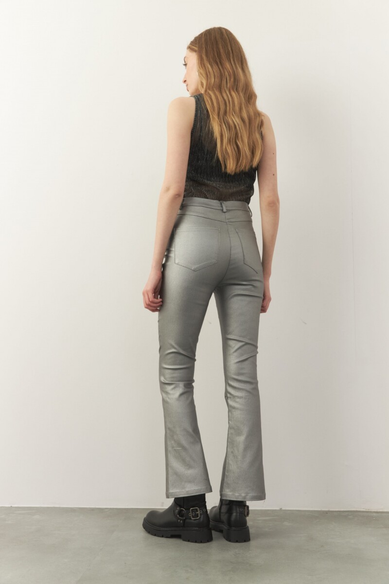 PANTALON DORIAN Plateado