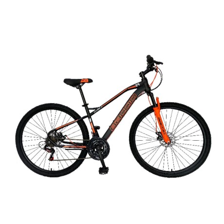 Bicicleta Baccio Alpina X Rodado 29 Bicicleta Baccio Alpina X Rodado 29
