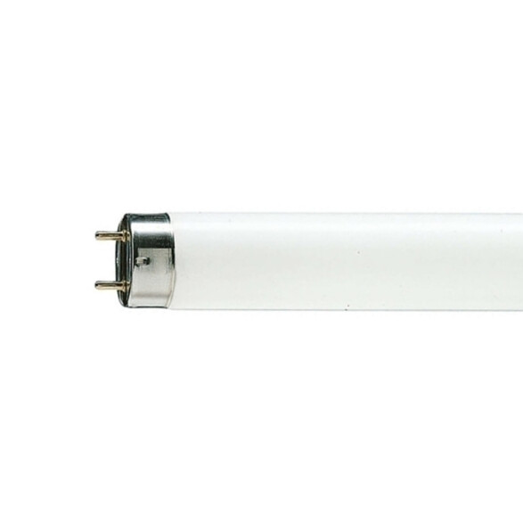 Tubo fluorescente trifósforo T8 58W, cálido L24582