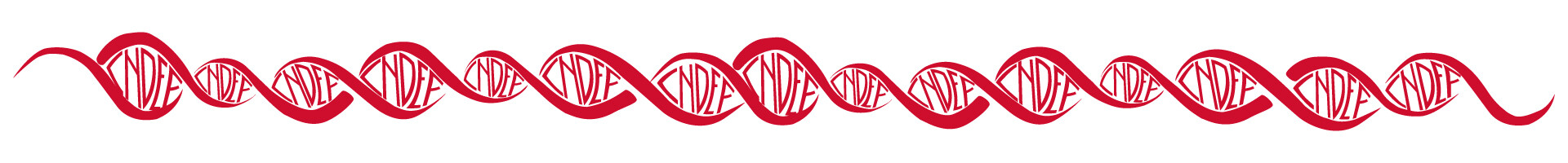 LanzamientoAwayFull1