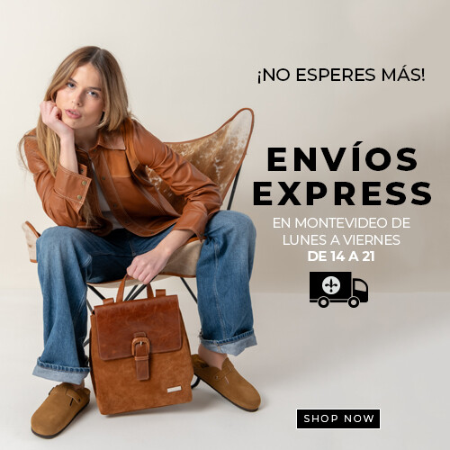 envios en el dia
