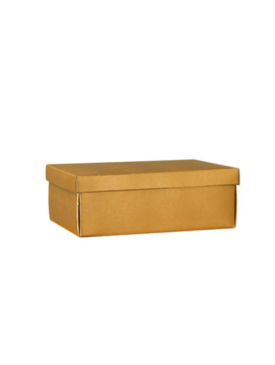 Caja + tapa easy 38x26x13 - 38406 - SKIN ORO 