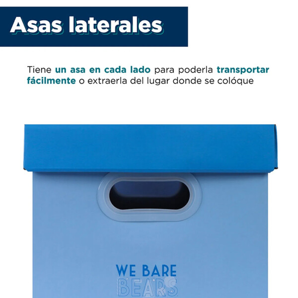 Organizador Polar