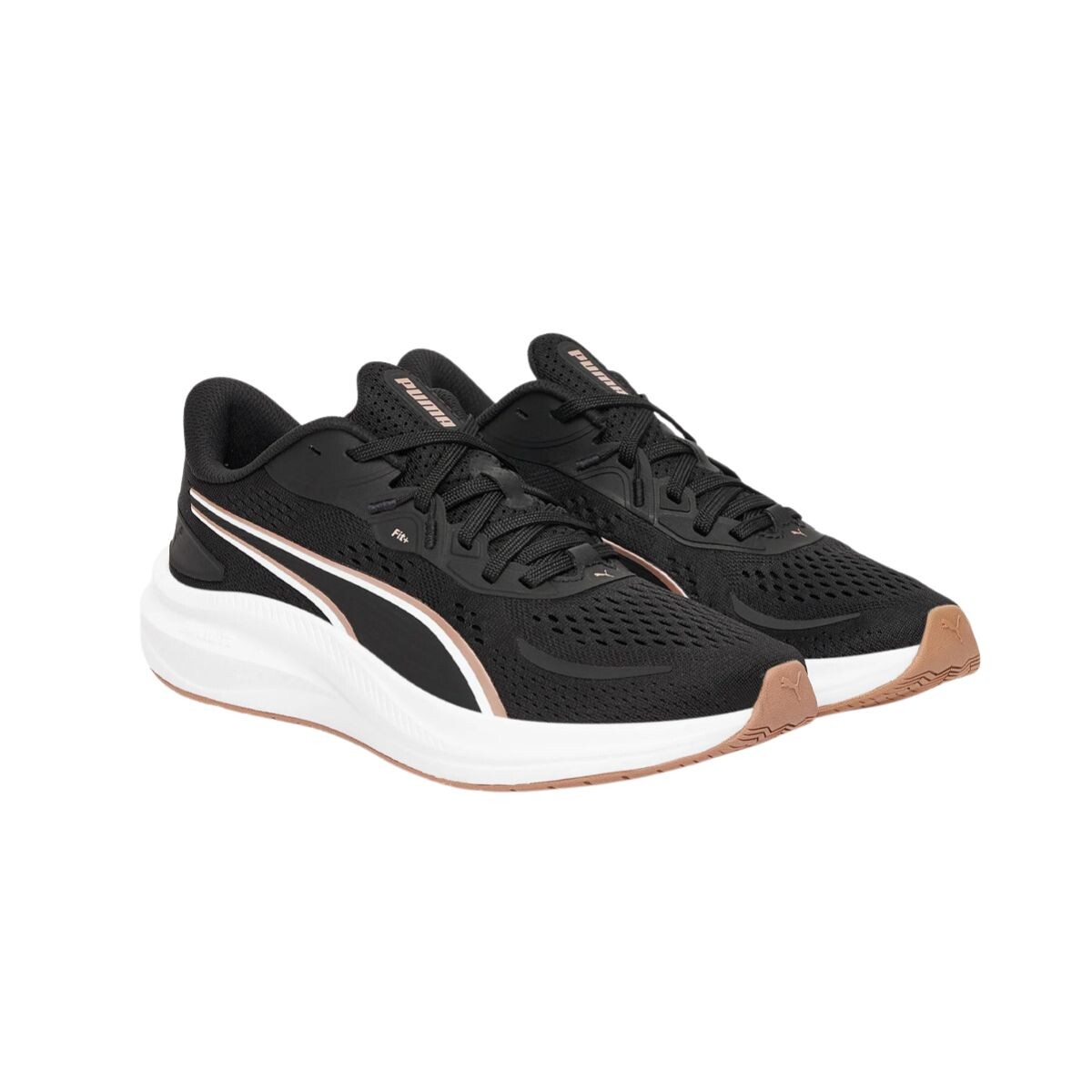 CHAMPION 36-41 - NGRO/BNCO 