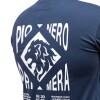 Remera Ascenso 2025 Albion FC Remera Ascenso 2025 Albion FC