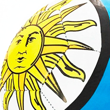 Pelota Expert N2 Diseño Uruguay Fútbol Calidad Celeste