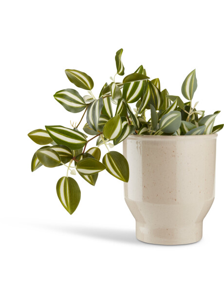 Planta artificial ASGAR A24cm verde Planta artificial ASGAR A24cm verde