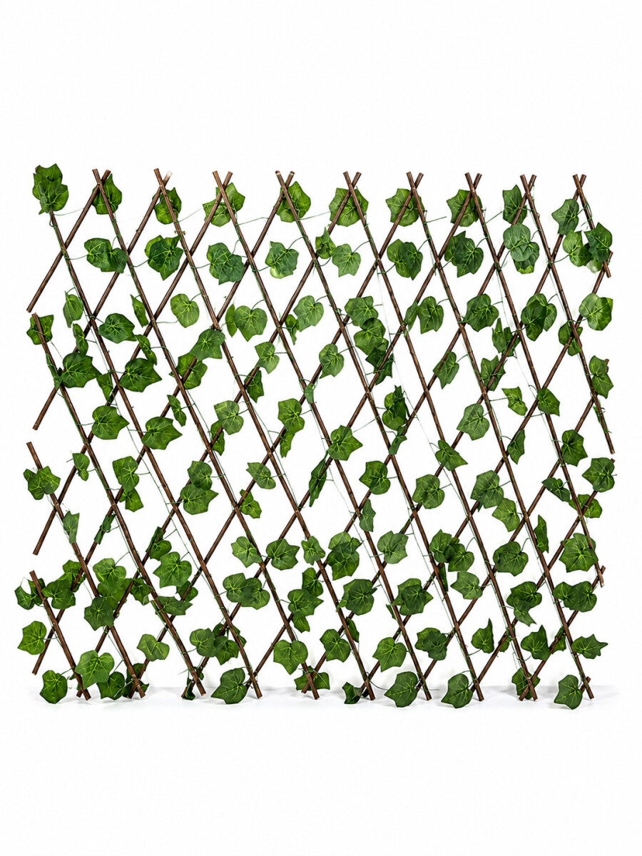 ENREDADERA EXTENSIBLE - VERDE 
