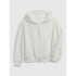LOGO FZ HOODIE CARLS STONE
