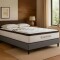 Sommier 2 Plazas Hamptons Palladium Smart Box Gris