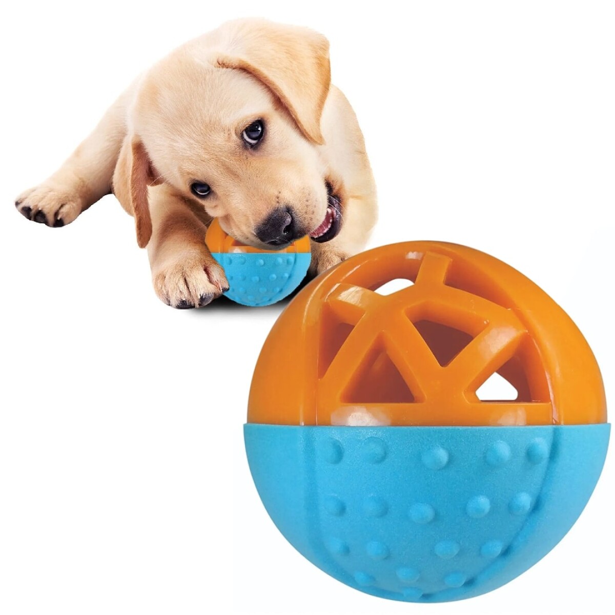 Juguete Pelota Dental Perro Rellenable Comida Golosina - Color Variante Celeste Naranja 