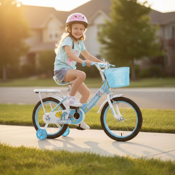 Bicicleta infantil Shengdi Rodado 16 Canasto Parrilla Hadas Celeste 1