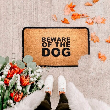Alfombra Puerta Entrada Felpudo Coco Goma 40X60 Beware Of The Dog