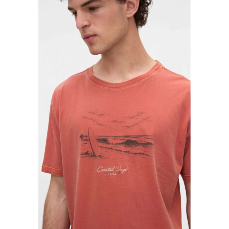 Remera Floyd Ladrillo