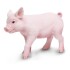 Cerdito Puerquito Figura Safari Muñeco Granja Piglet Animal Cerdito Puerquito Figura Safari Muñeco Granja Piglet Animal