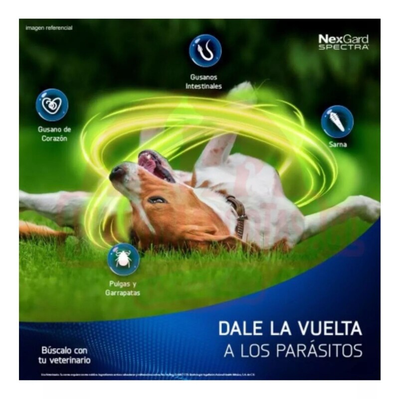NEXGARD SPECTRA X 3 COMPRIMIDOS ANTIPARASITORIO INTERNO Y EXTERNO DE 3,6 A 7,5 KG