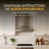Campana De Cocina Extractor Goldtech 60cm Inoxidable Luz Variante Color Plateado