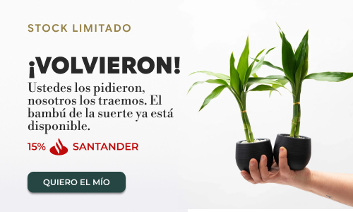 PopUp Banner - LUCKY BAMBOO