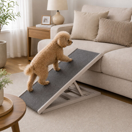 Rampa Para Mascotas Ajustable Plegable Liviana Compacta Gris