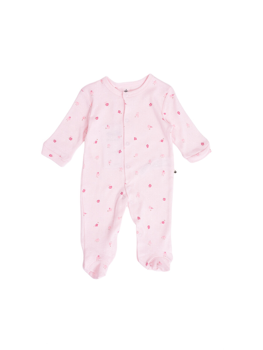 ENTERITO MINO - VARIANTE 2 