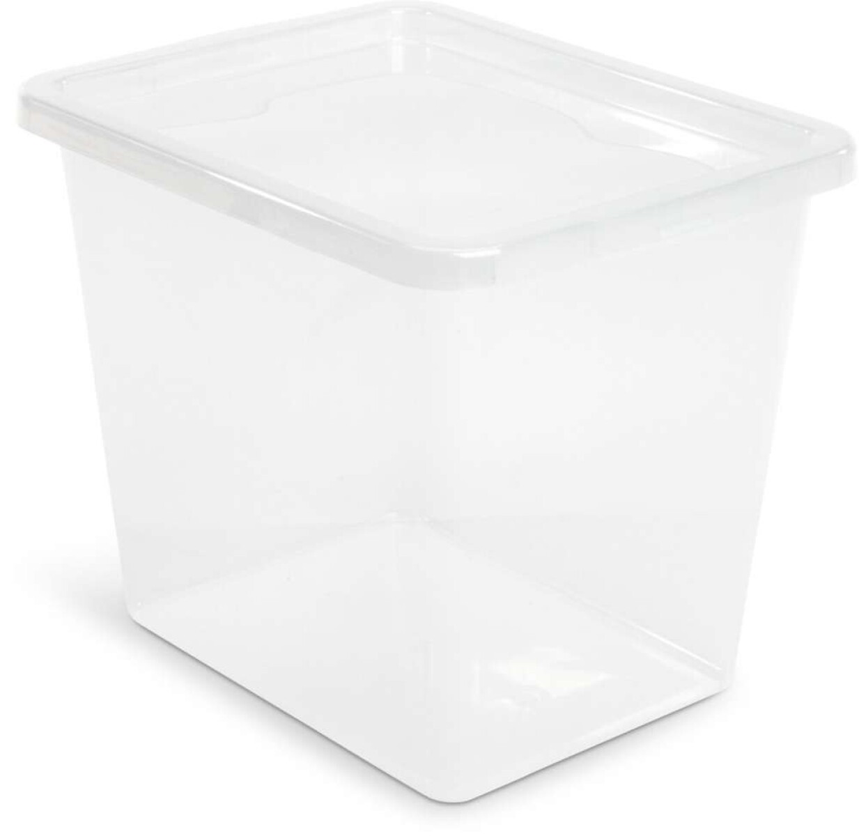 Caja BASIC BOX 31L con tapa - Transparente 