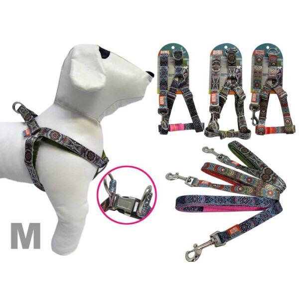 ARNÉS + CORREA DISEÑOS VARIOS M ARNÉS + CORREA DISEÑOS VARIOS M