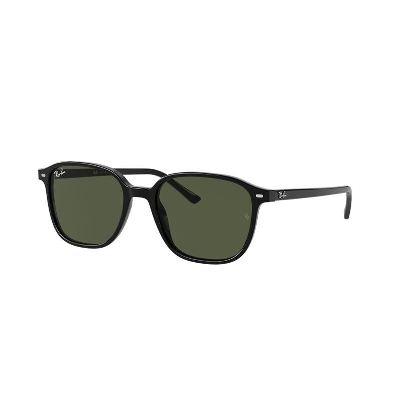 Ray Ban Rb2193 Leonard 901/31