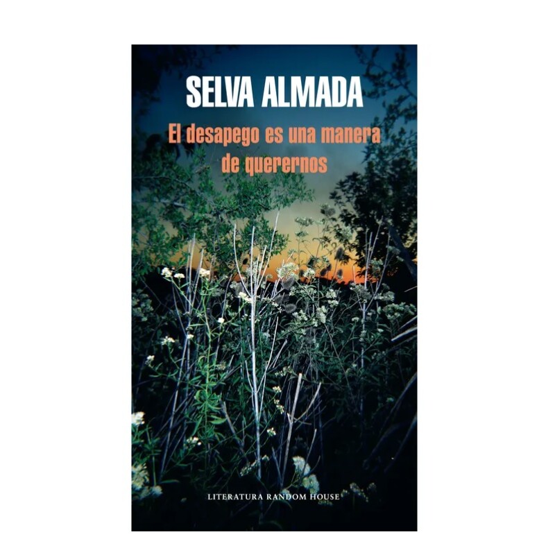 El Desapego Es Una Manera De Querernos DESAPEGO ES UNA MANERA DE QUERERNOS EL