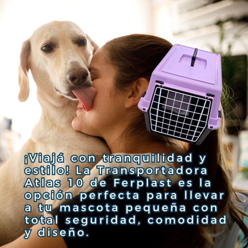 TRANSPORTADORA ATLAS 10 LILA